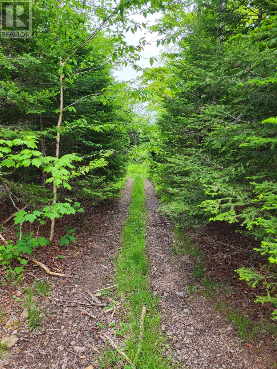 Property 4 of 32 of 7219 Kemptown