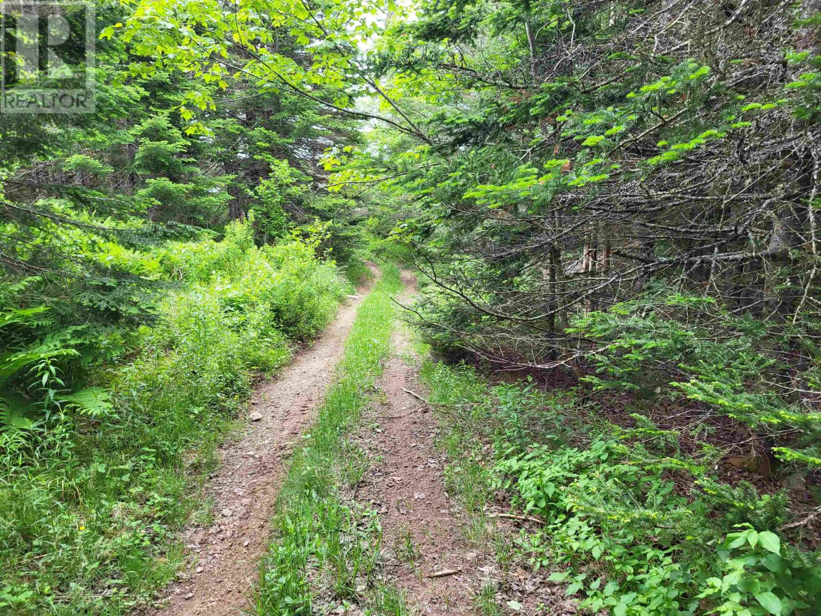 Property 6 of 32 of 7219 Kemptown