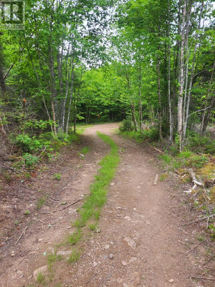 Property 22 of 32 of 7219 Kemptown