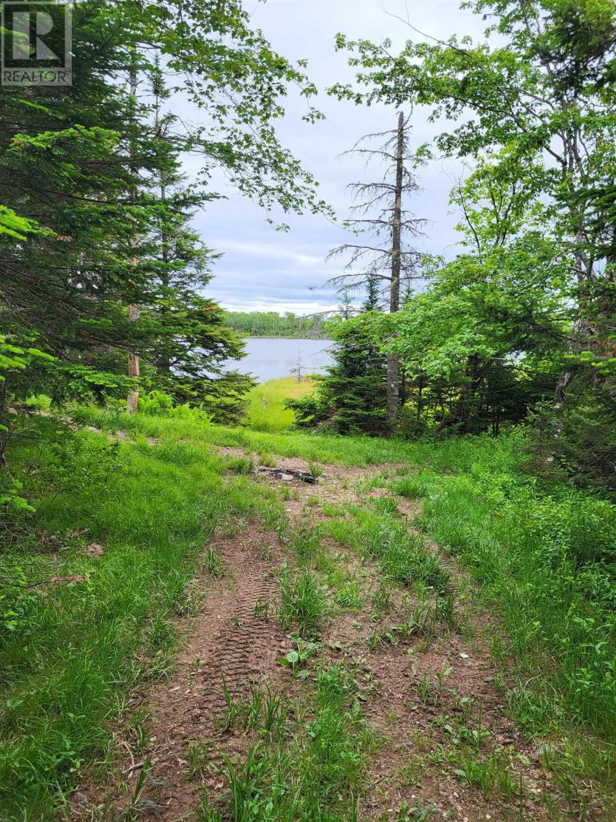 Property 8 of 32 of 7219 Kemptown