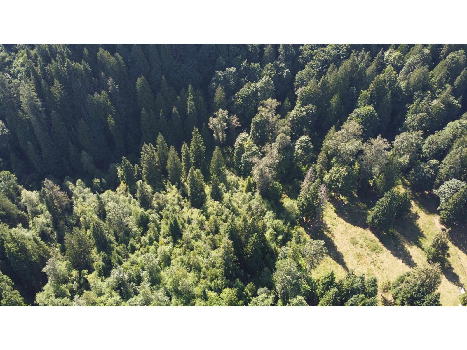 Photo 13 of 12999 Stave Lake Road, Mission BC