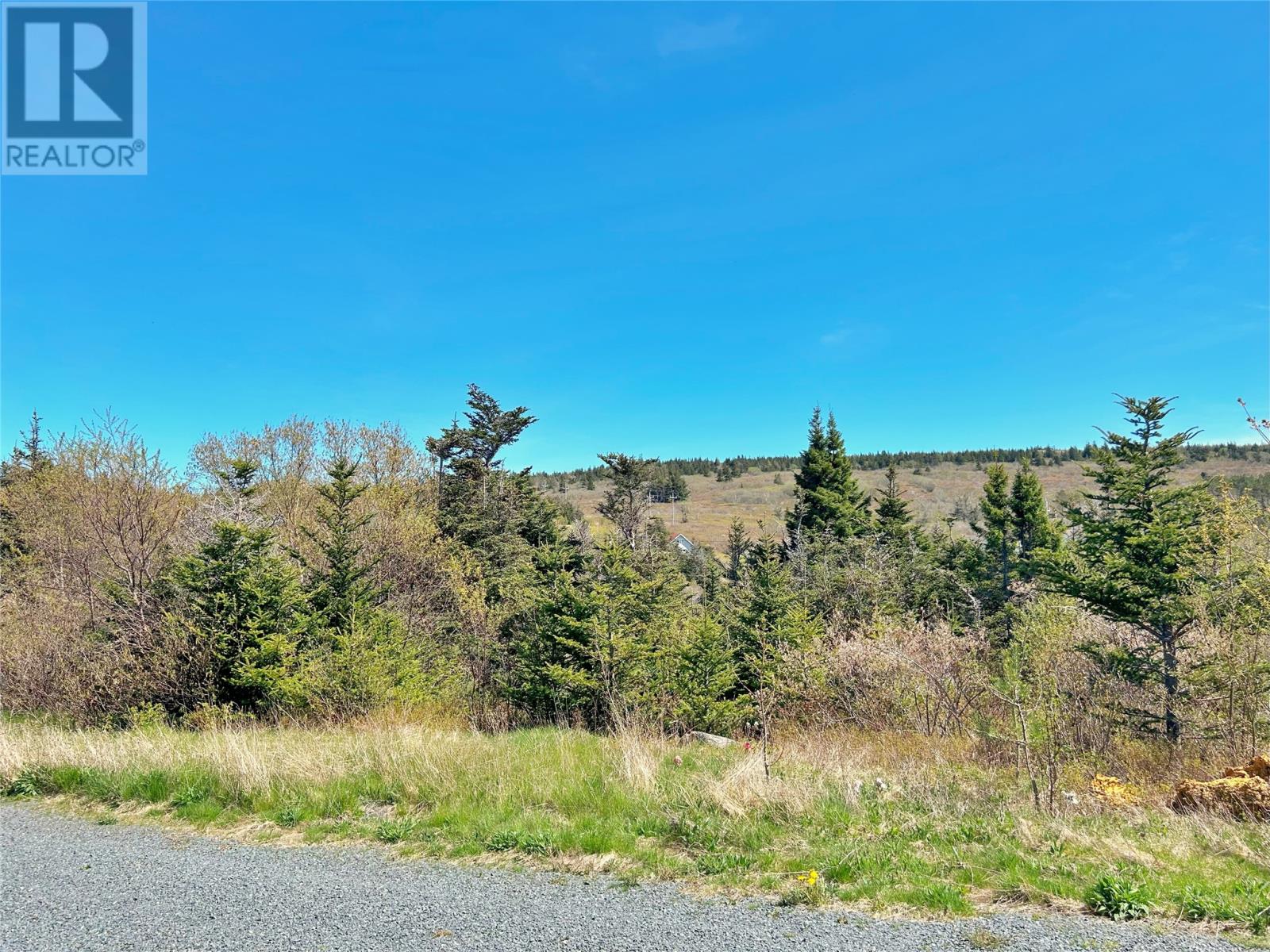 Photo 4 of 23 25 Mercers Road, Harbour Grace NL