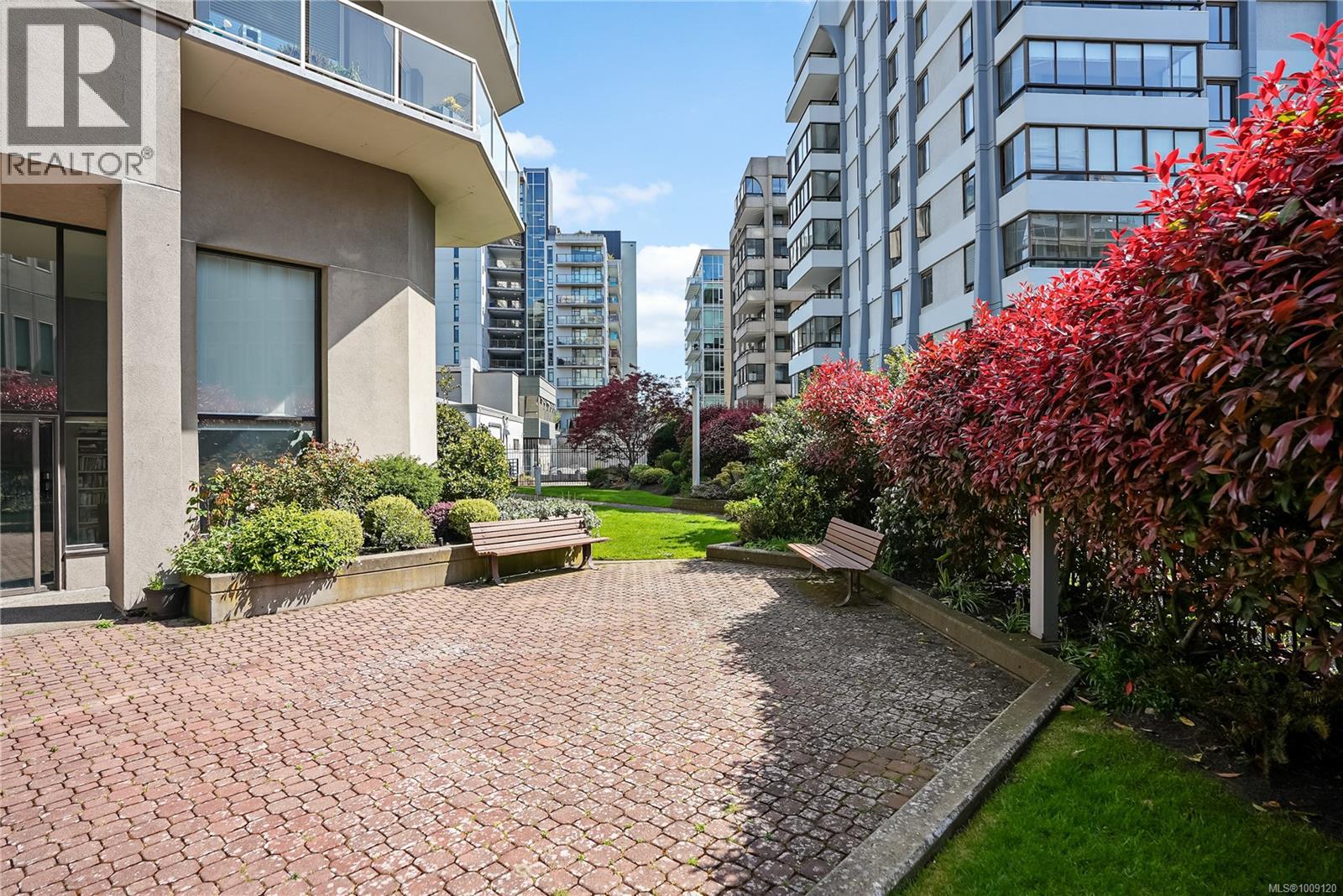 Photo 21 of 501 1015 Pandora Ave, Victoria BC
