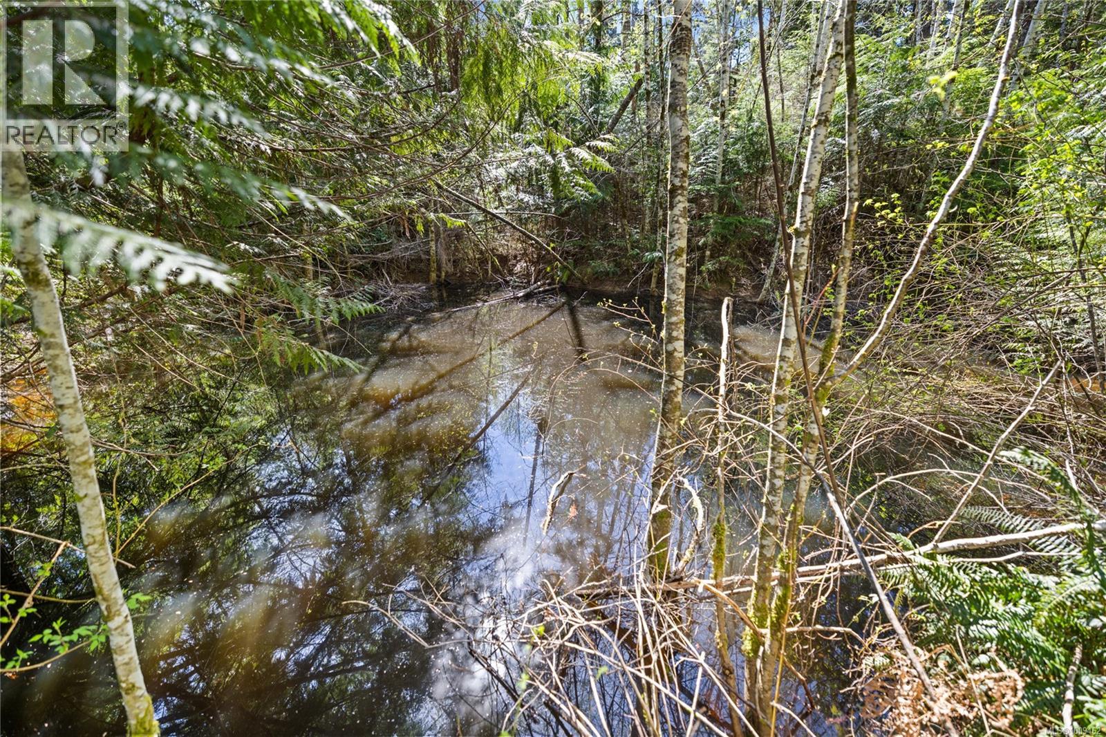 Photo 6 of Lot 1 Horne Lake Rd, Qualicum Beach BC