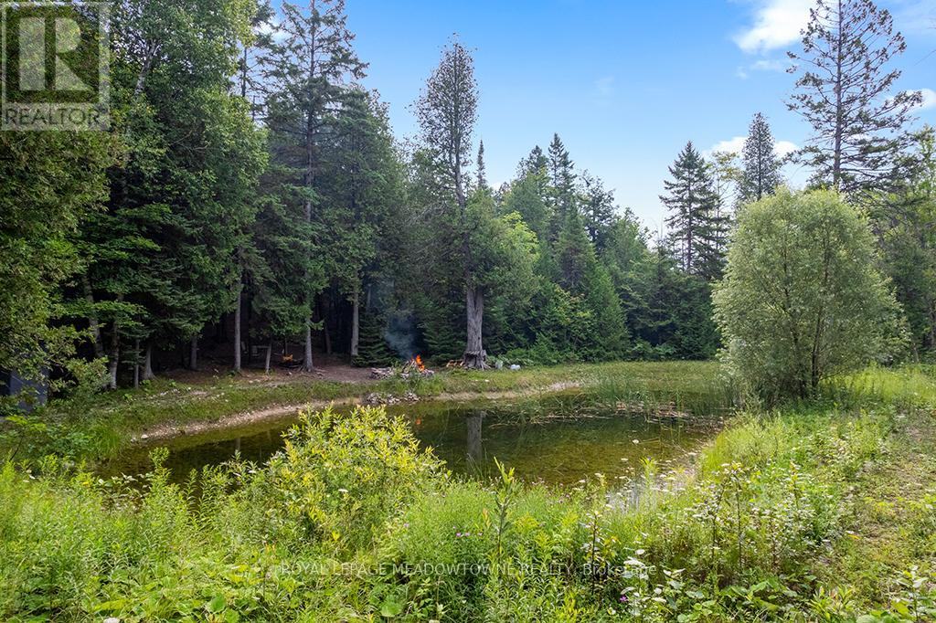 Photo 10 of 126 Highland Drive, West Grey ON