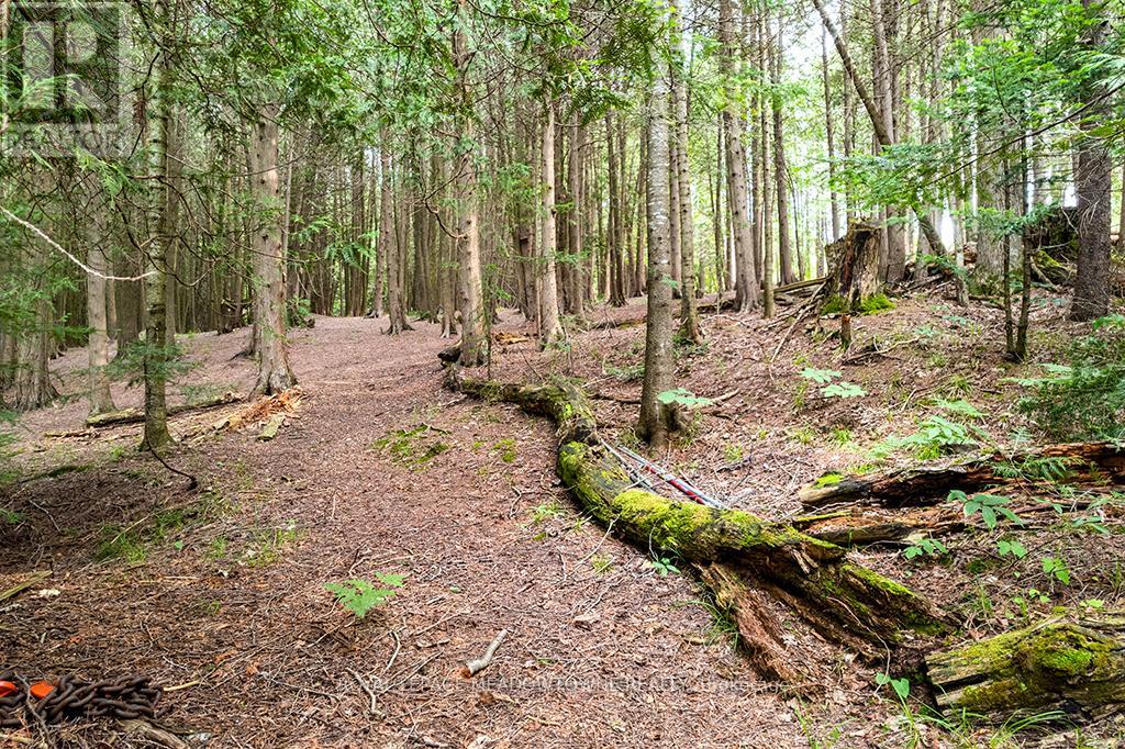 Photo 16 of 126 Highland Drive, West Grey ON