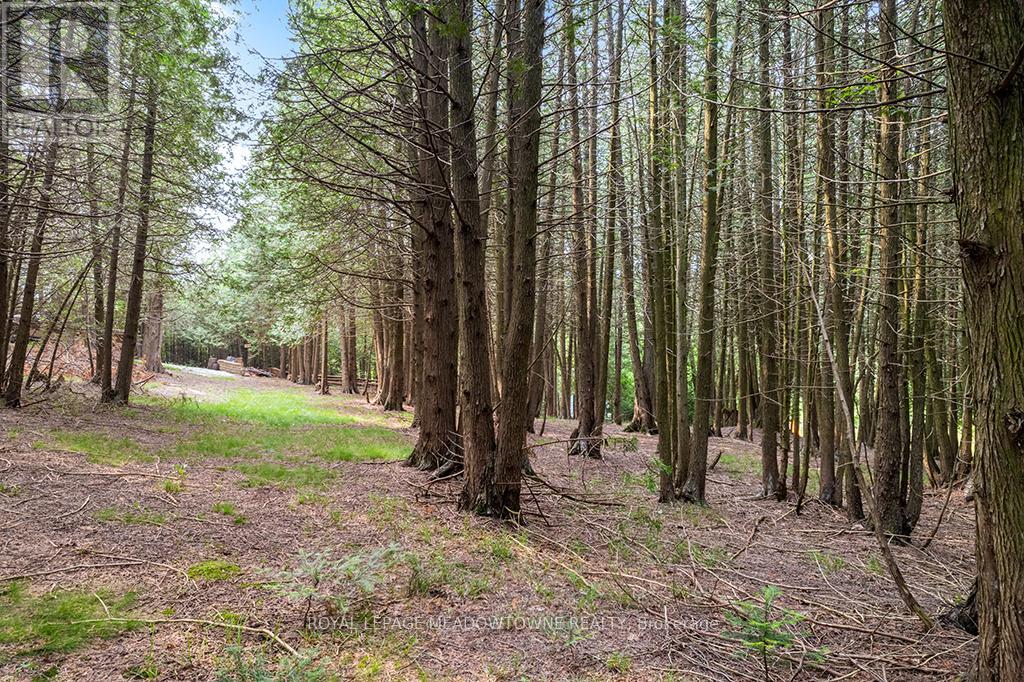Photo 19 of 126 Highland Drive, West Grey ON