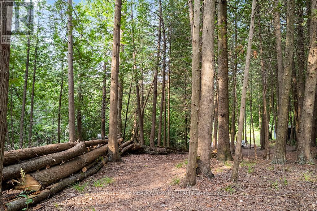 Photo 7 of 126 Highland Drive, West Grey ON