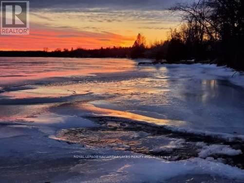 Photo 23 of 85 Thomas Drive, Kawartha Lakes ON