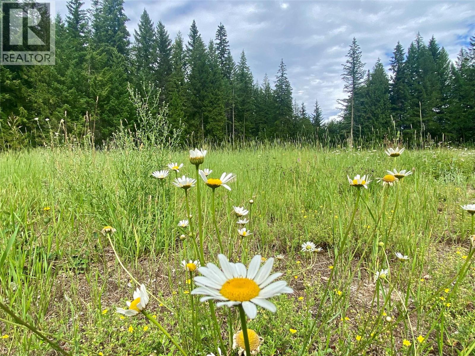Photo 36 of 6064 Creekside Road, Barriere BC