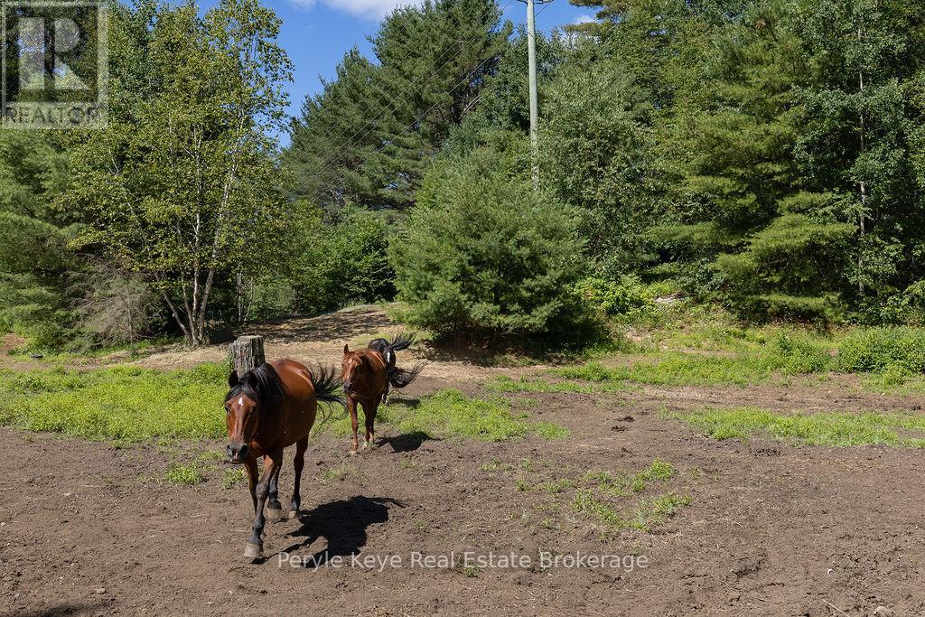 Photo 3 of 2322 Old Muskoka Road, Huntsville ON