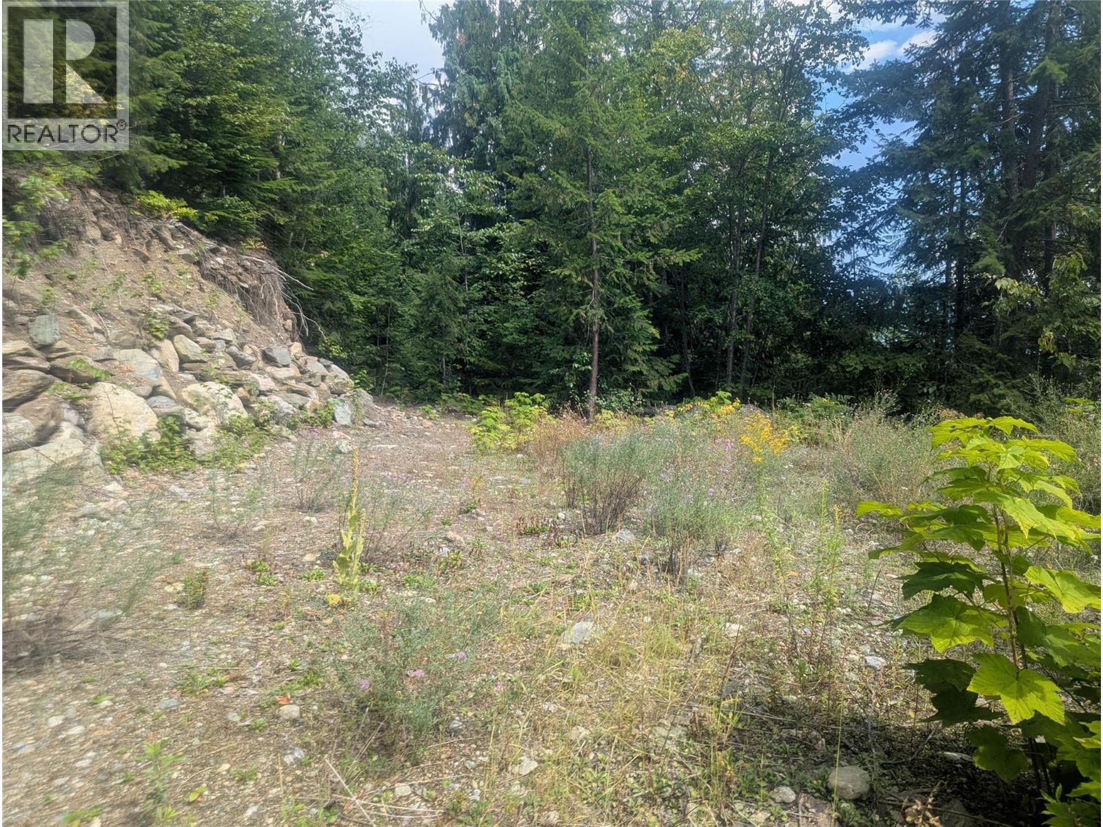 Lot 1 Whiskey Pointe, Revelstoke