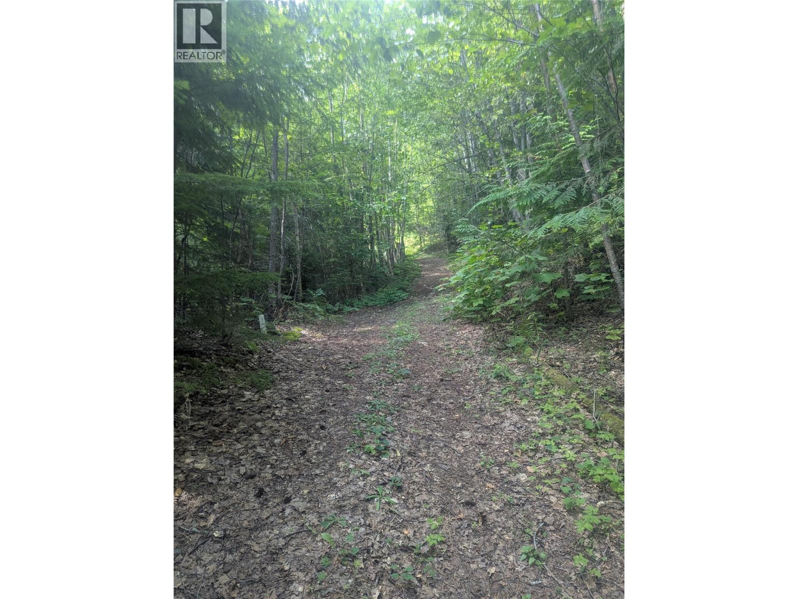 Lot 1 Whiskey Pointe, Revelstoke