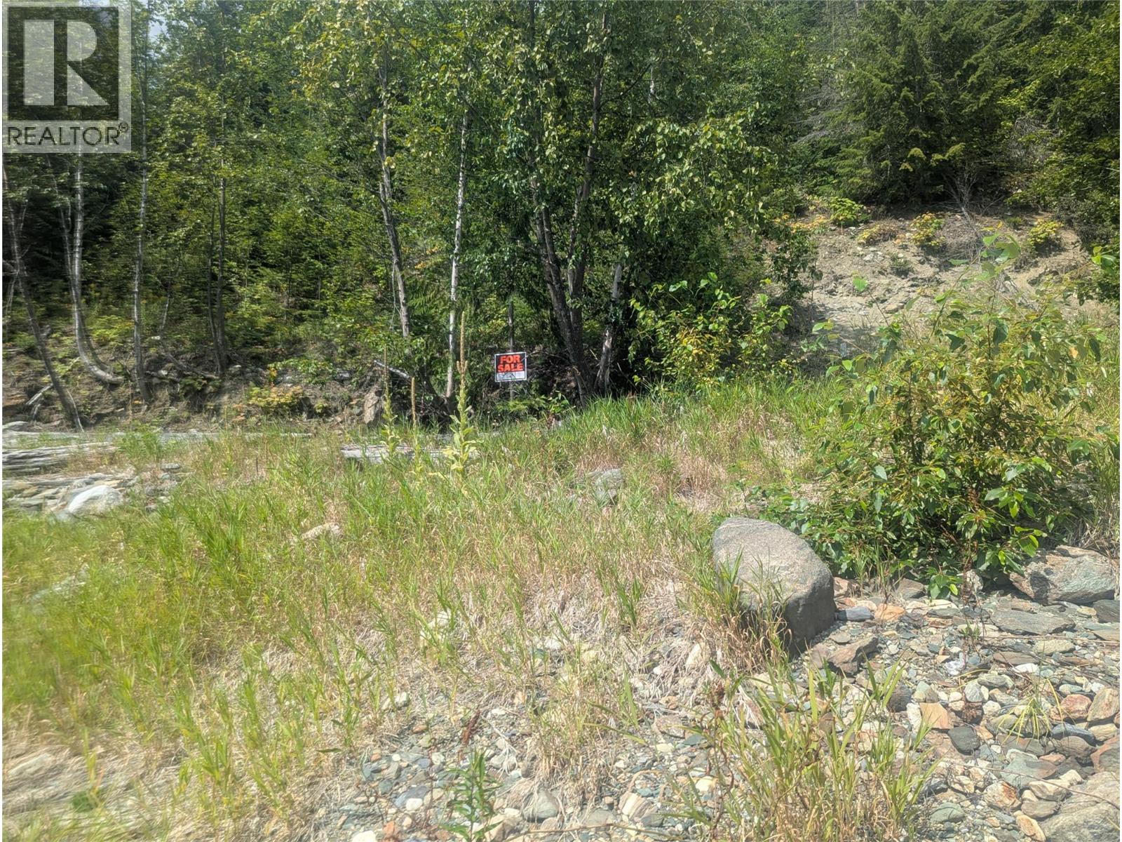 Lot 1 Whiskey Pointe, Revelstoke