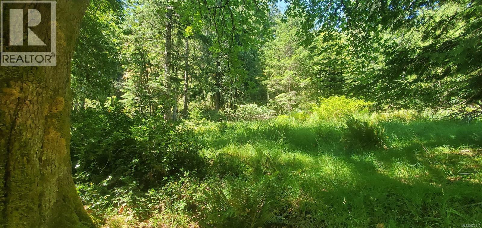 226 Bold Point Rd, Quadra Island