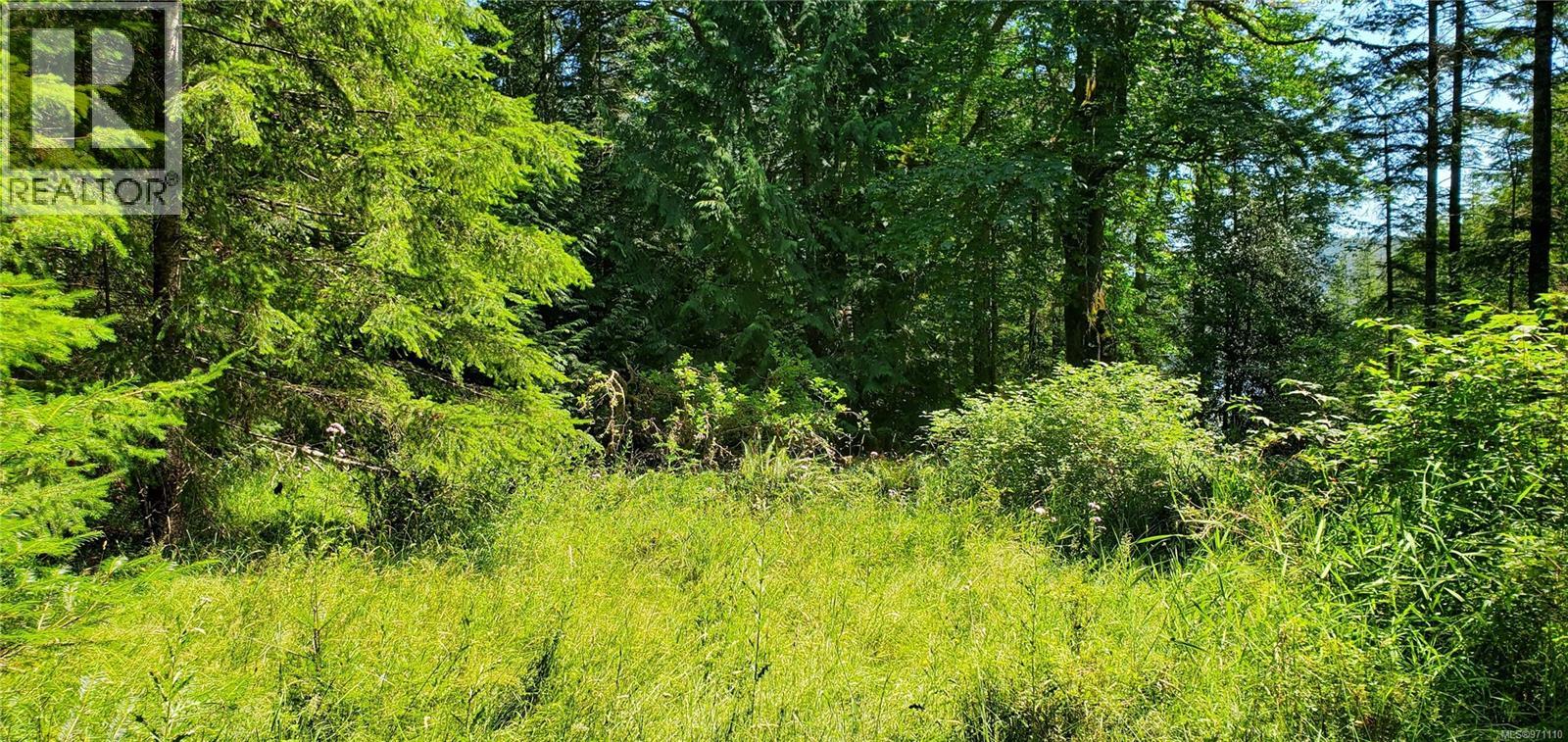 226 Bold Point Rd, Quadra Island