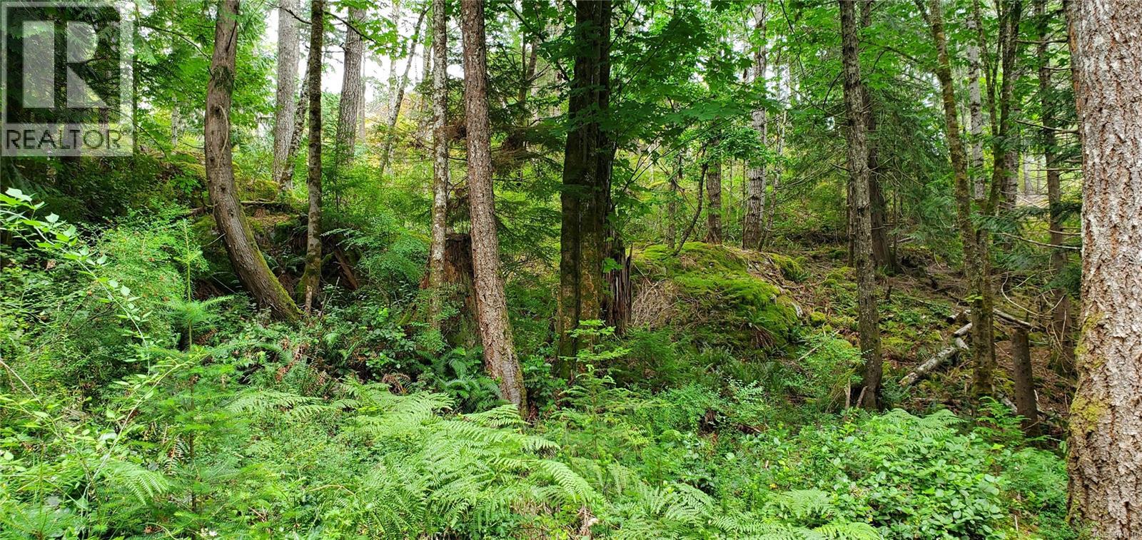 226 Bold Point Rd, Quadra Island