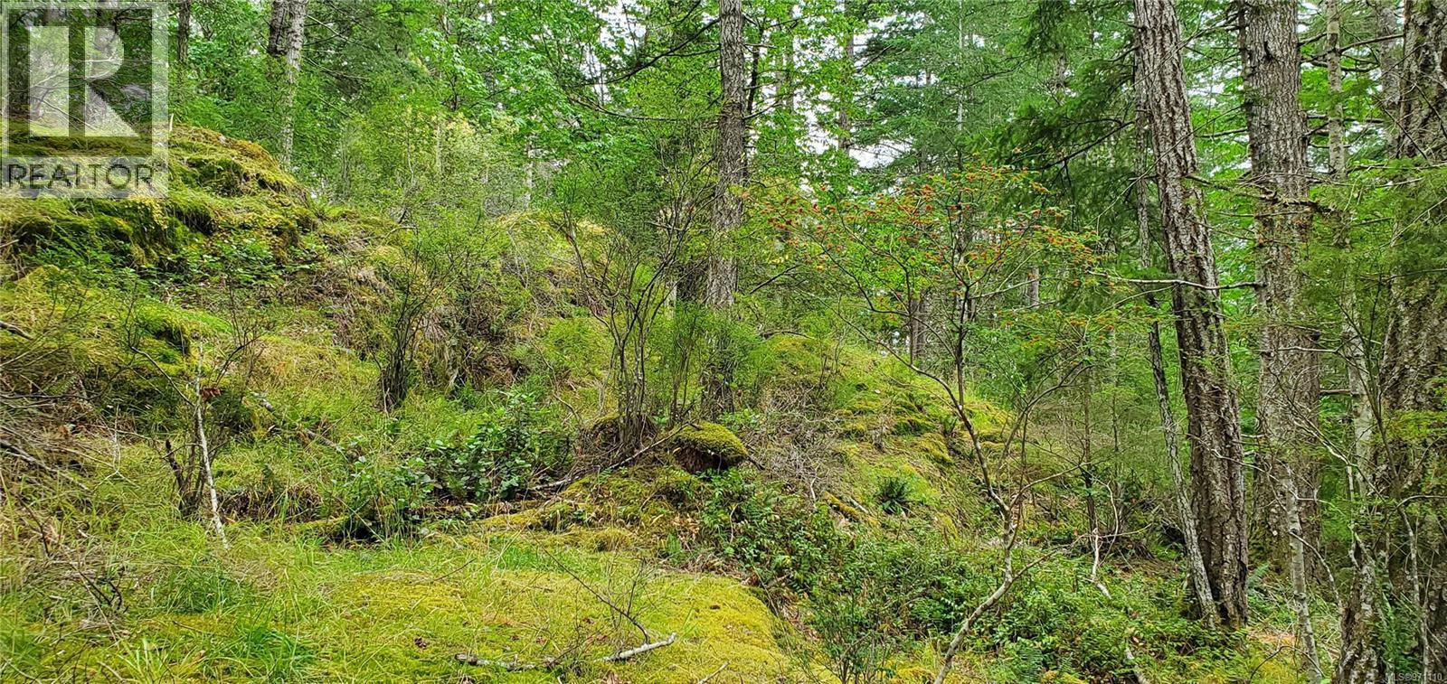 226 Bold Point Rd, Quadra Island