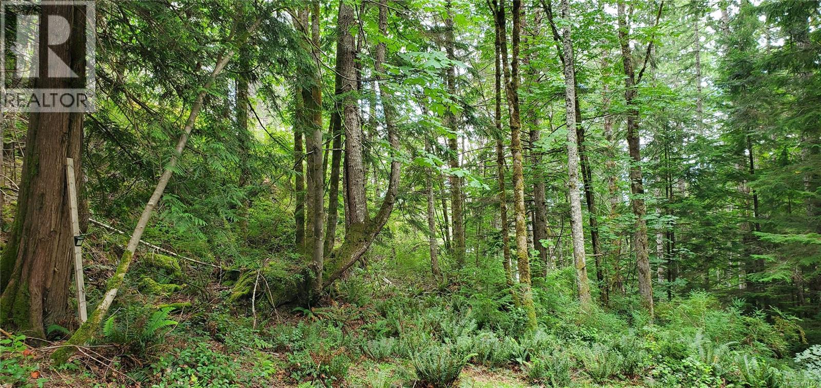 226 Bold Point Rd, Quadra Island