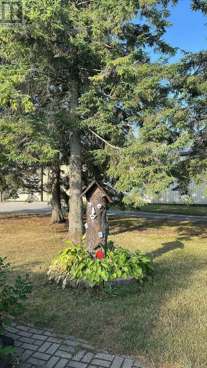 Photo 39 of 7076 5th Side Road N, Innisfil ON