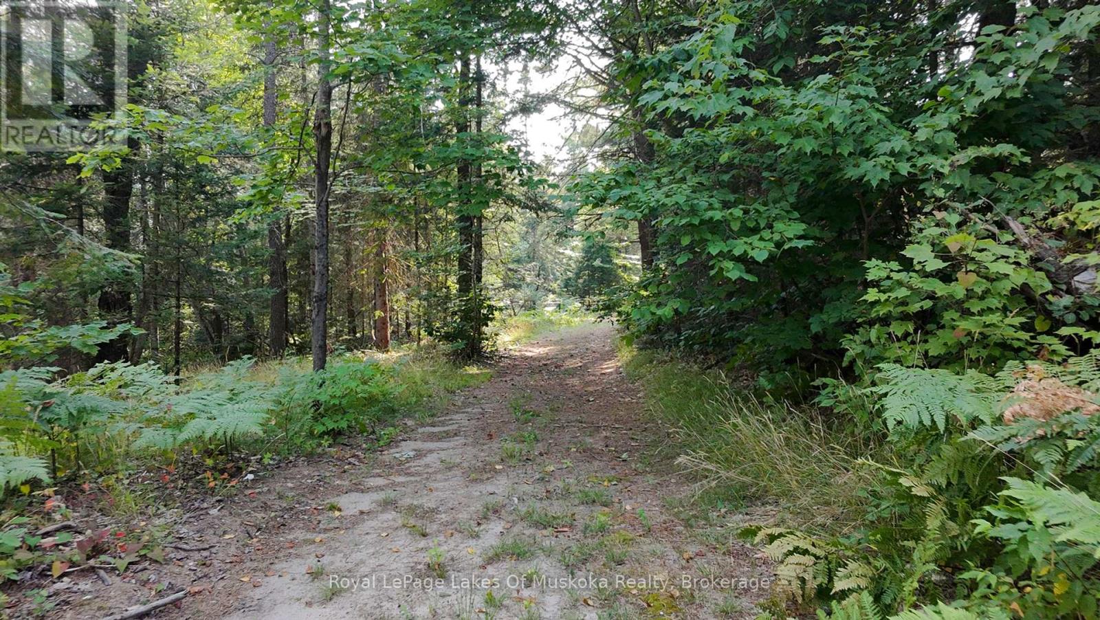Photo 13 of 1590 Yearley Road, Huntsville ON