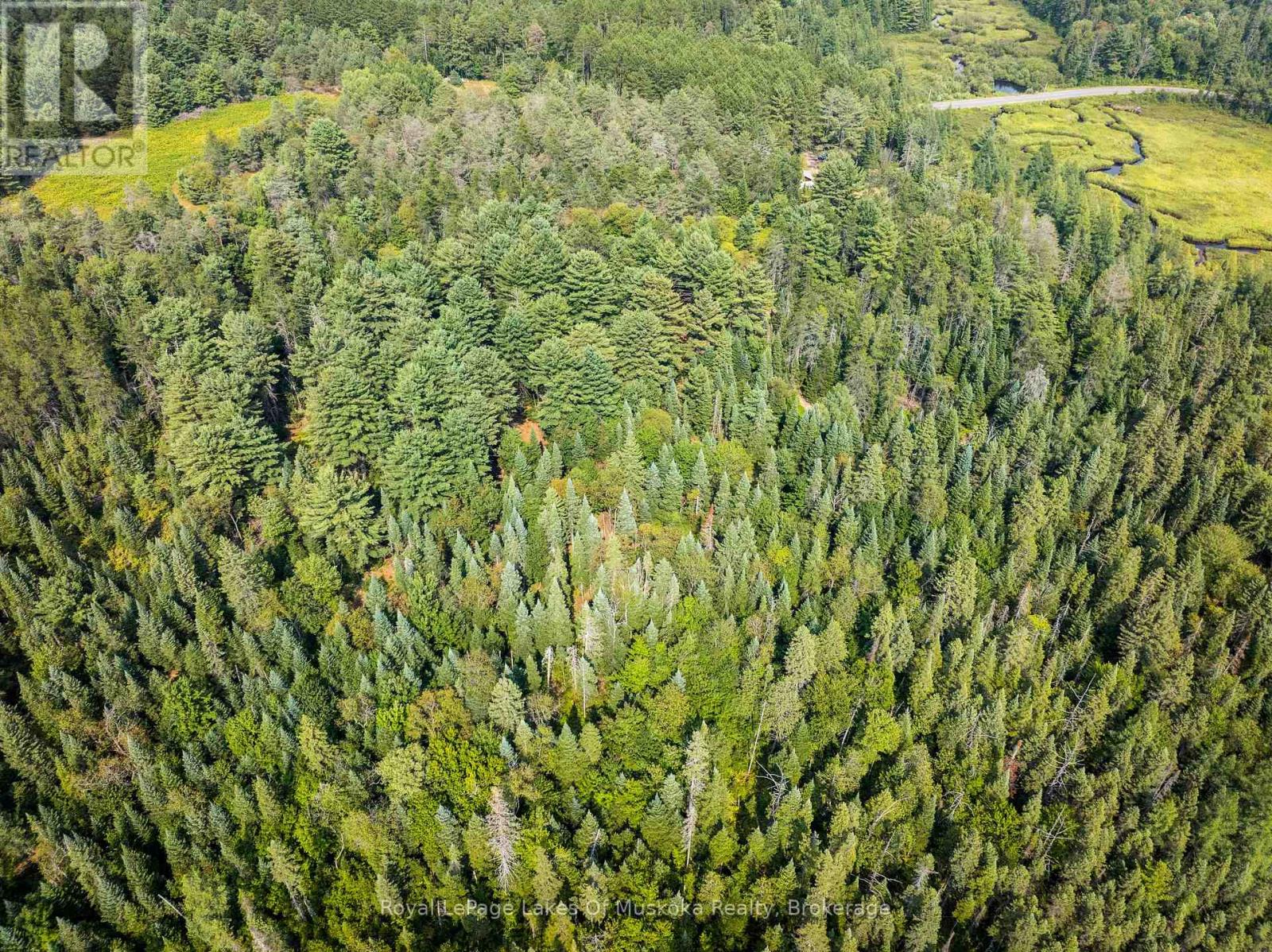 Photo 15 of 1590 Yearley Road, Huntsville ON