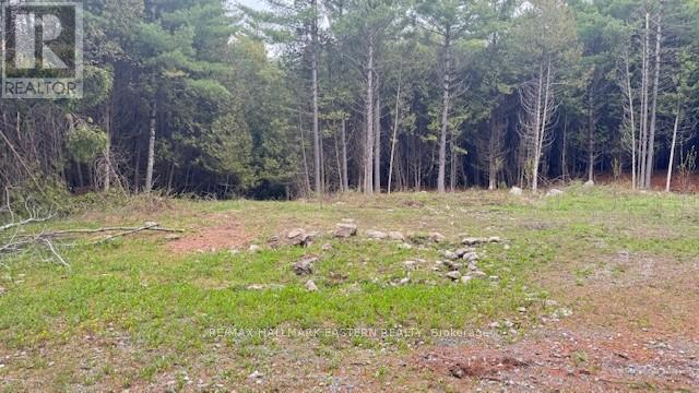 Photo 6 of 593 County Road 40, Dourodummer ON
