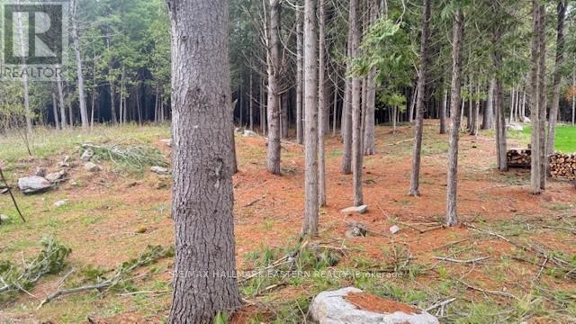 Photo 1 of 593 County Road 40, Dourodummer ON