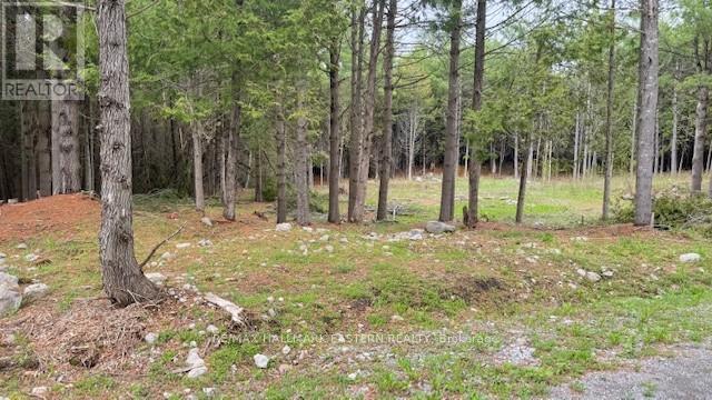 Photo 5 of 593 County Road 40, Dourodummer ON