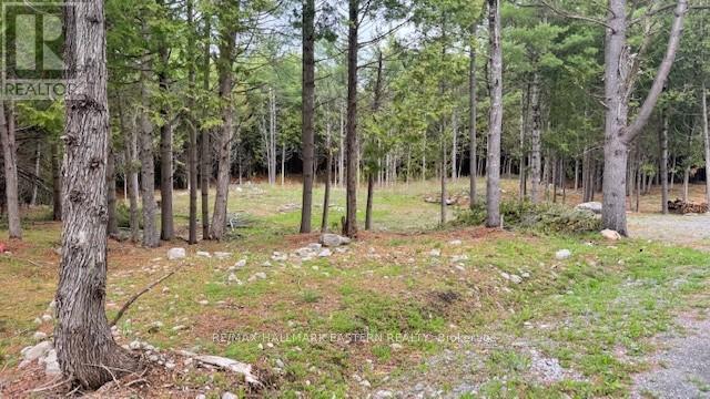 Photo 3 of 593 County Road 40, Dourodummer ON