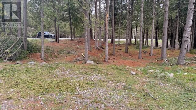 Photo 7 of 593 County Road 40, Dourodummer ON