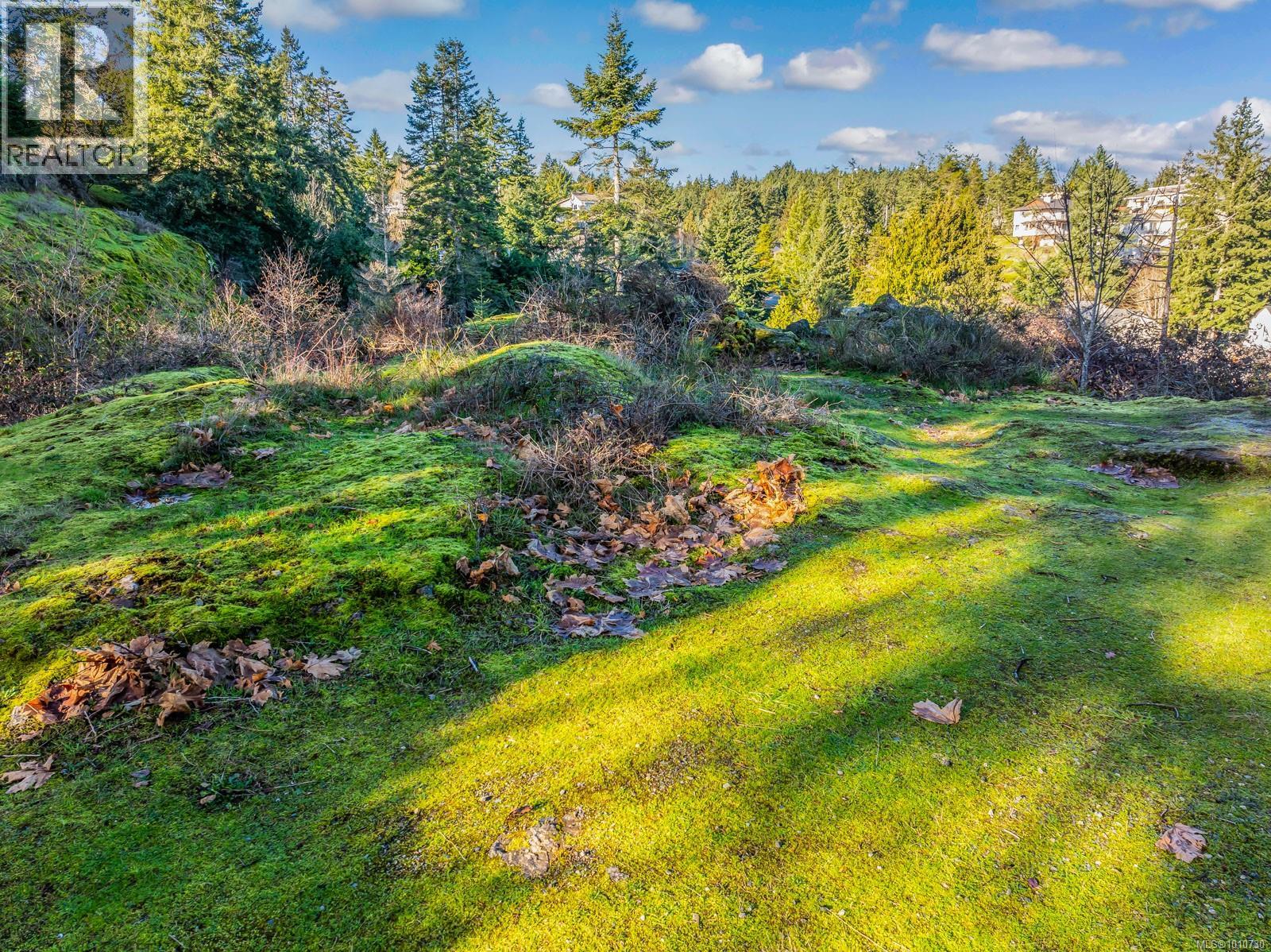 Photo 6 of 3128 Queens Crt, Nanaimo BC