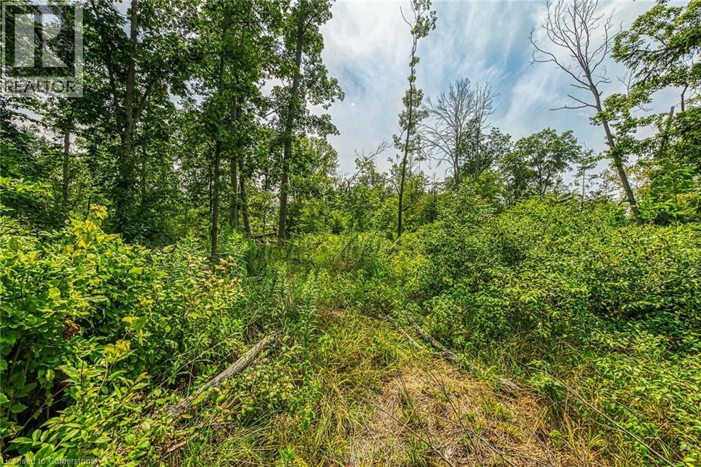 Photo 9 of 392 Lakeshore Road, Selkirk ON