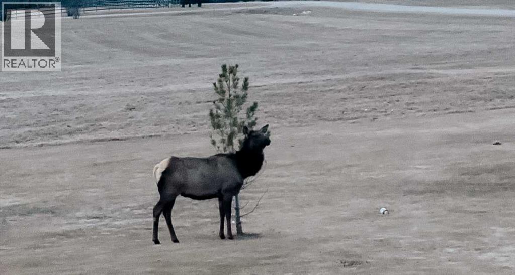 Photo 47 of 5 53018 Range Road 175, Rural Yellowhead County AB