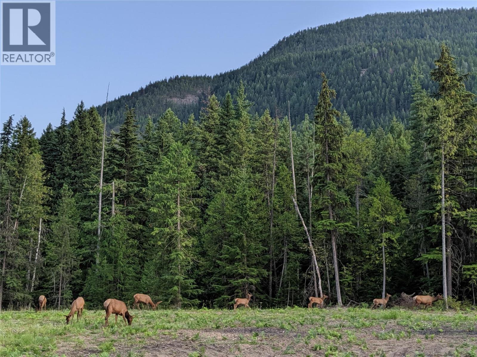Photo 10 of 3809 Passmore Upper Road, Passmore BC