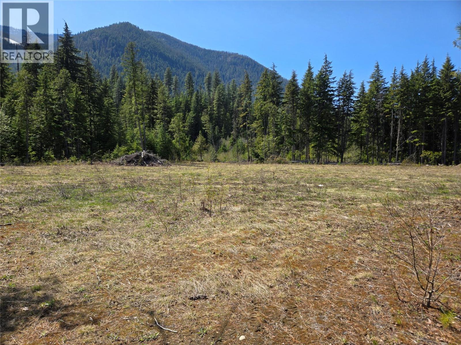 Photo 3 of 3809 Passmore Upper Road, Passmore BC
