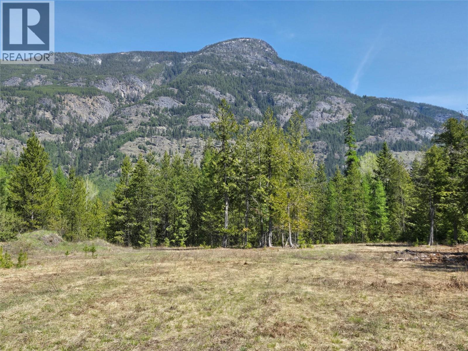 Photo 5 of 3809 Passmore Upper Road, Passmore BC