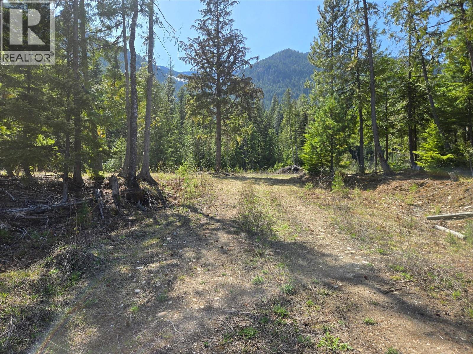 Photo 15 of 3809 Passmore Upper Road, Passmore BC