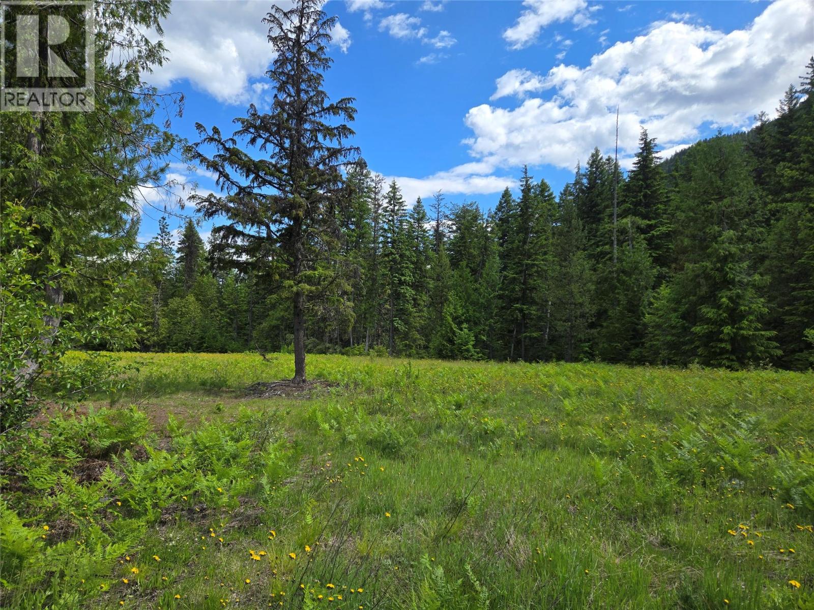 Photo 9 of 3809 Passmore Upper Road, Passmore BC