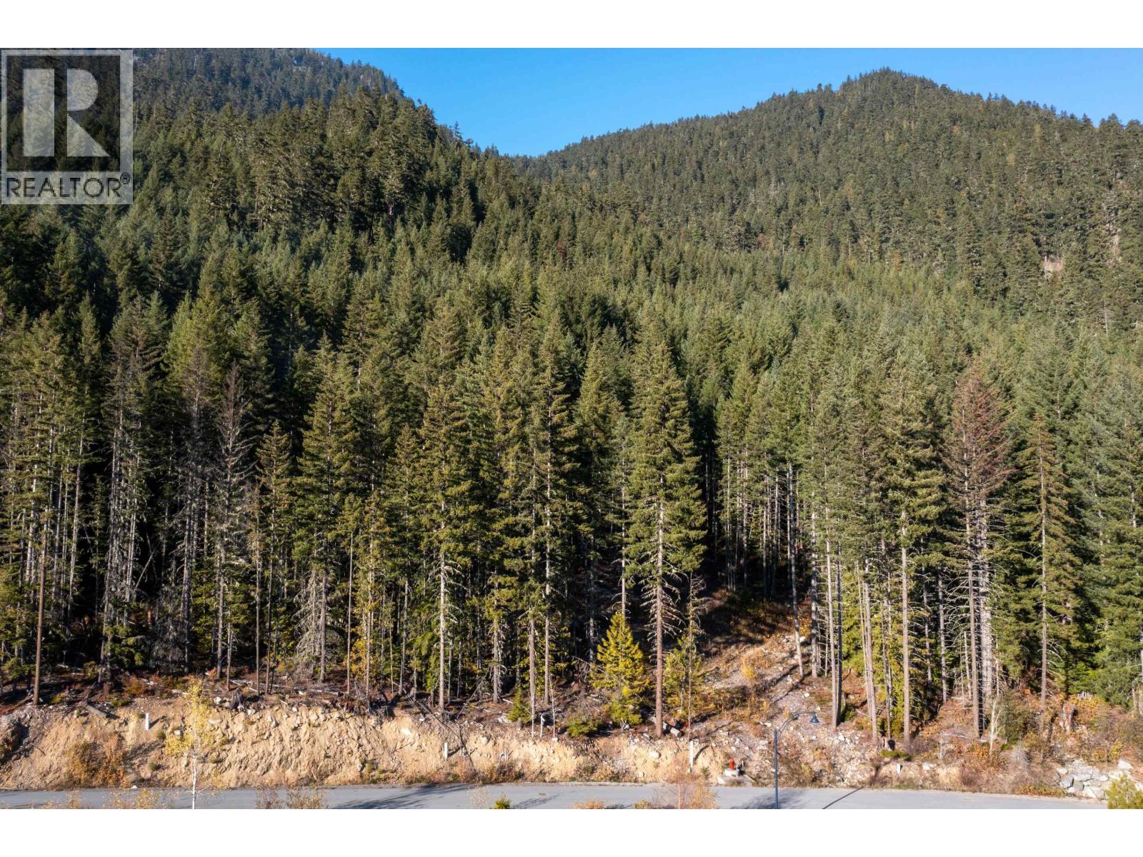 Vacant Land for Sale in Whistler – 8590 ASHLEIGH MCIVOR DRIVE, Whistler - Image 13