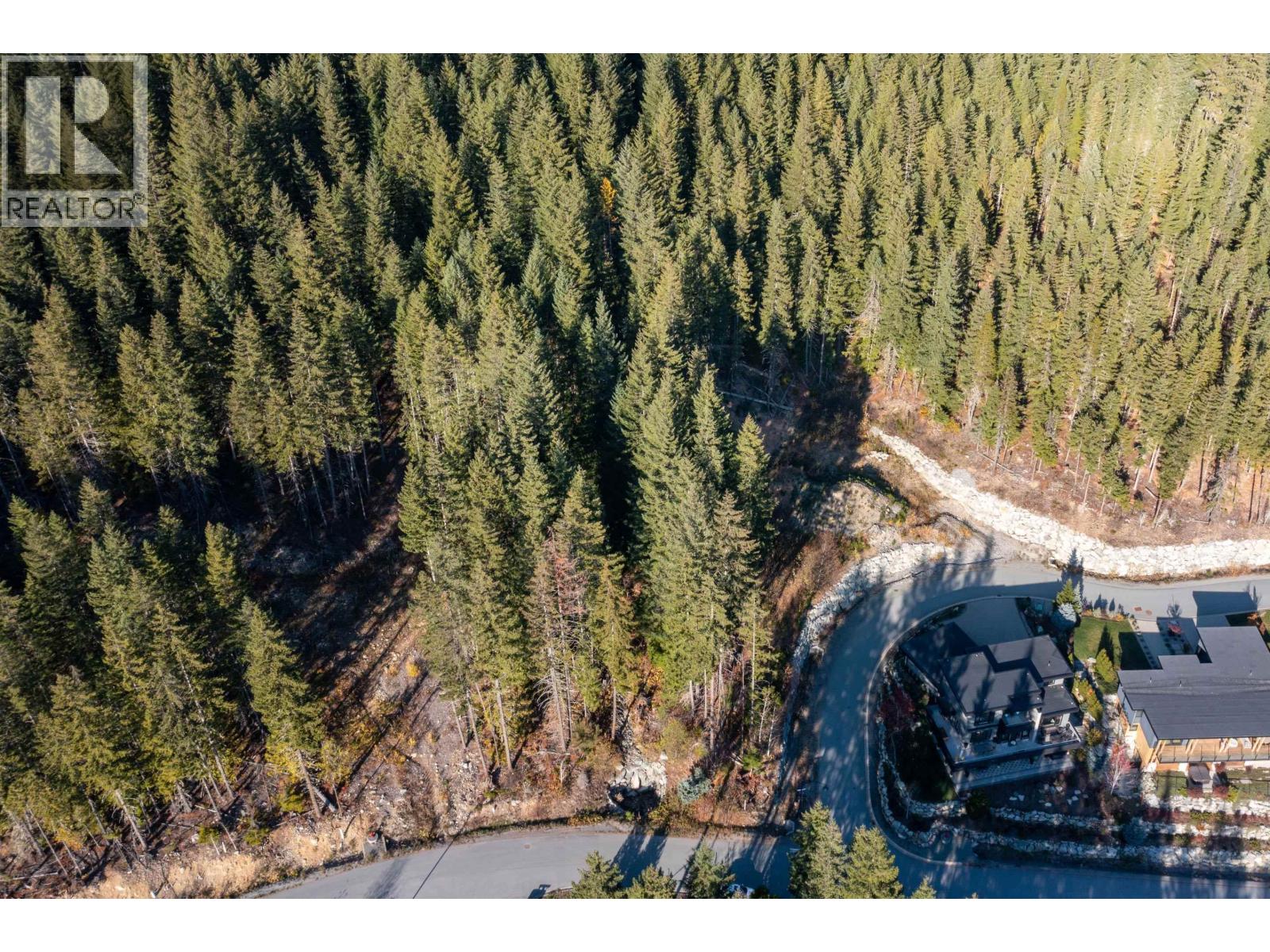Vacant Land for Sale in Whistler – 8590 ASHLEIGH MCIVOR DRIVE, Whistler - Image 9