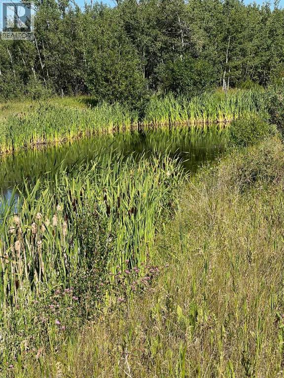 Photo 46 of Nw 32 70 9 W 6, Beaverlodge AB