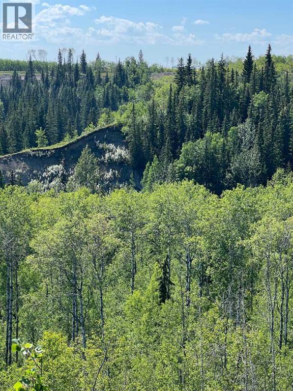 Photo 49 of Nw 32 70 9 W 6, Beaverlodge AB