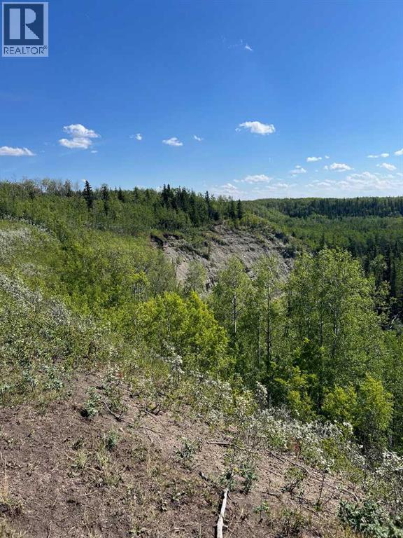 Photo 42 of Nw 32 70 9 W 6, Beaverlodge AB