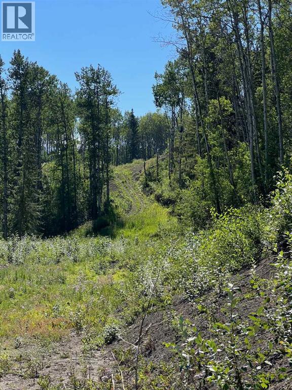 Photo 9 of Nw 32 70 9 W 6, Beaverlodge AB