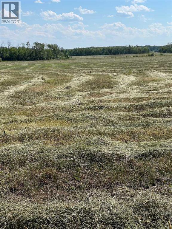 Photo 48 of Nw 32 70 9 W 6, Beaverlodge AB