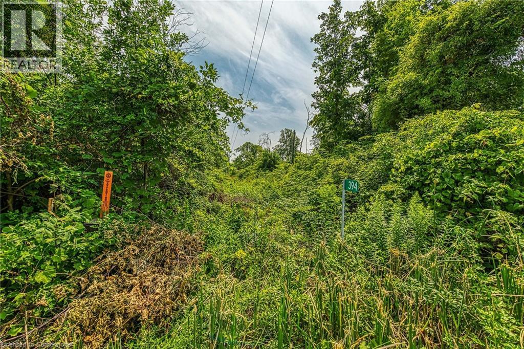 Photo 1 of 394 Lakeshore Road, Selkirk ON
