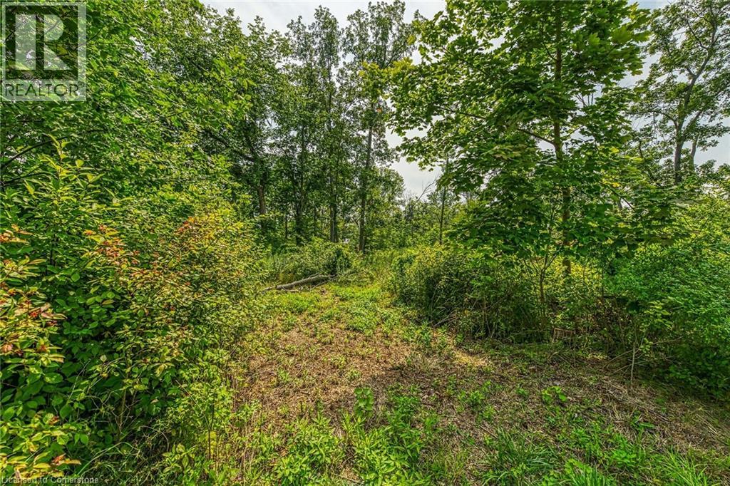Photo 14 of 394 Lakeshore Road, Selkirk ON