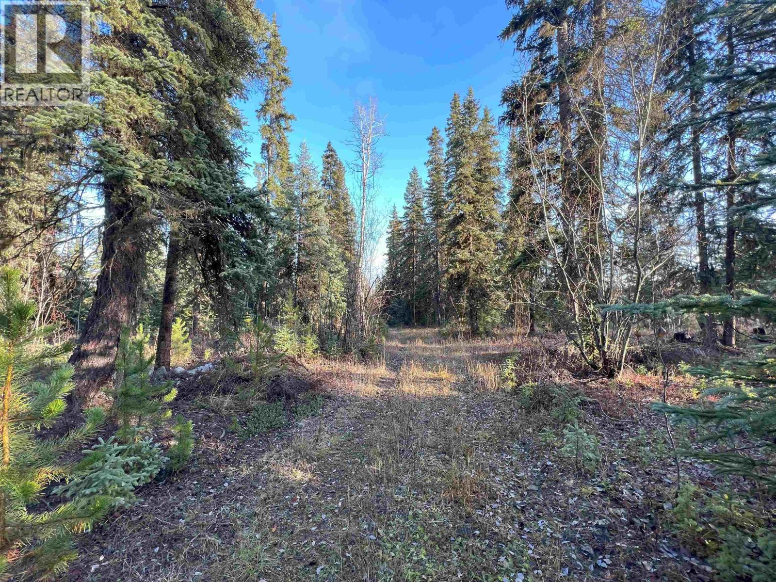 5 CLEARVIEW Drive, Burns Lake
