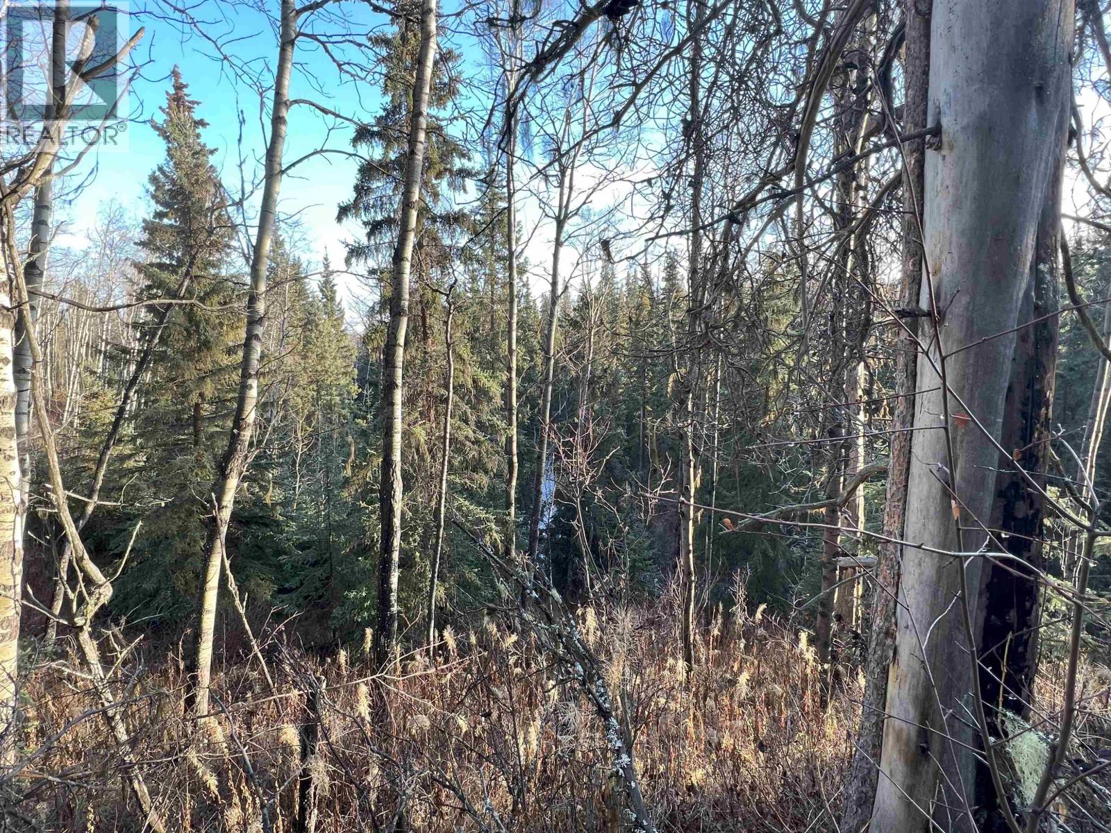 5 CLEARVIEW Drive, Burns Lake